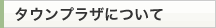 タウンプラザについて